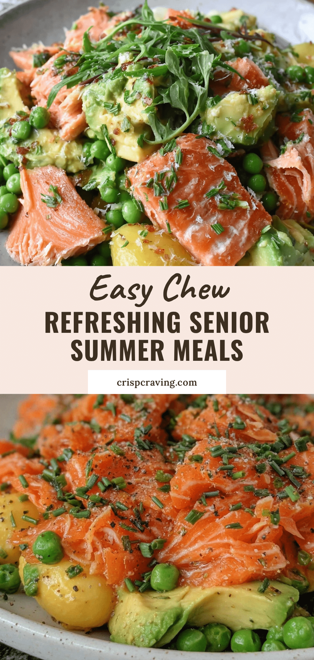 senior-friendly cold summer meals recipe