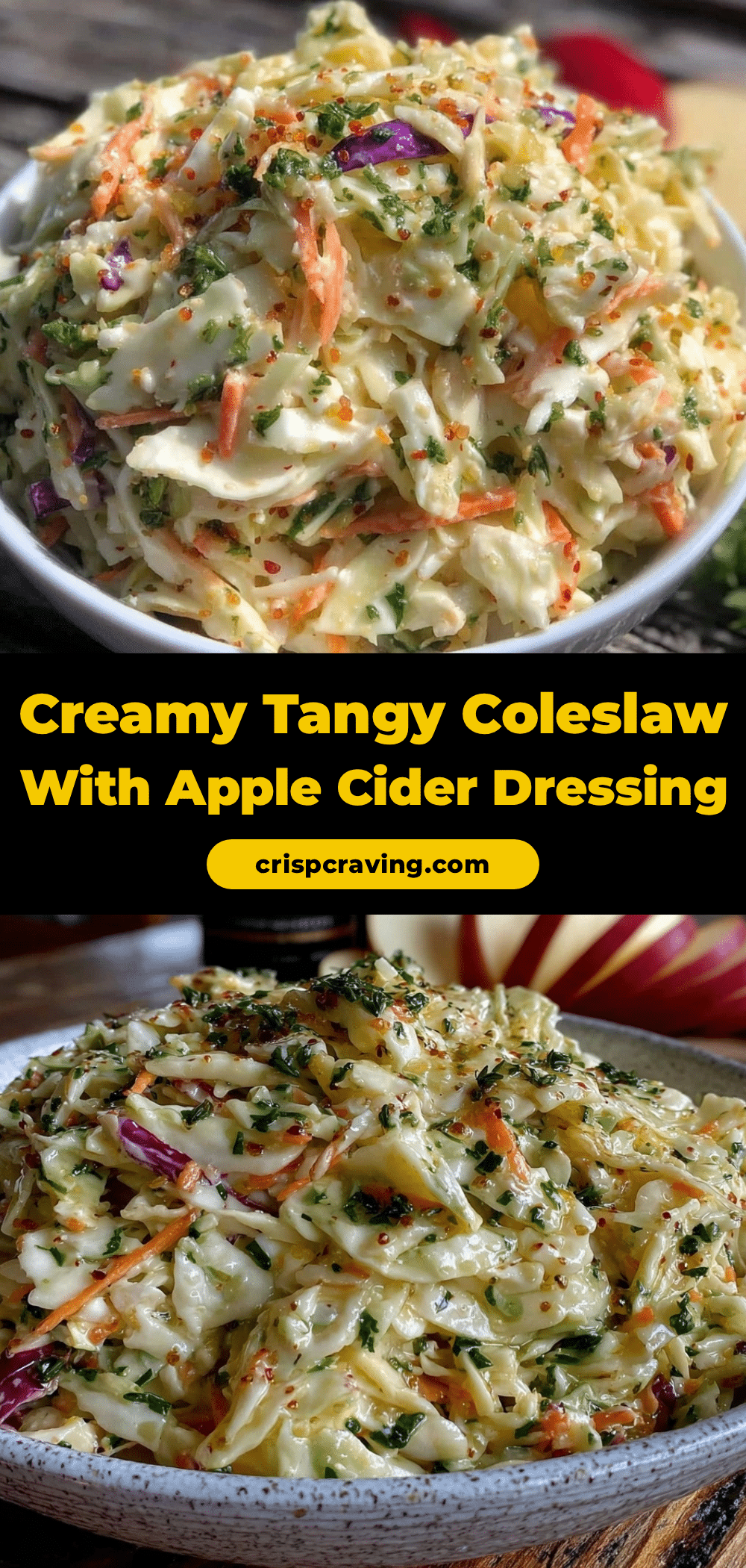 creamy coleslaw with apple cider vinegar dressing recipe