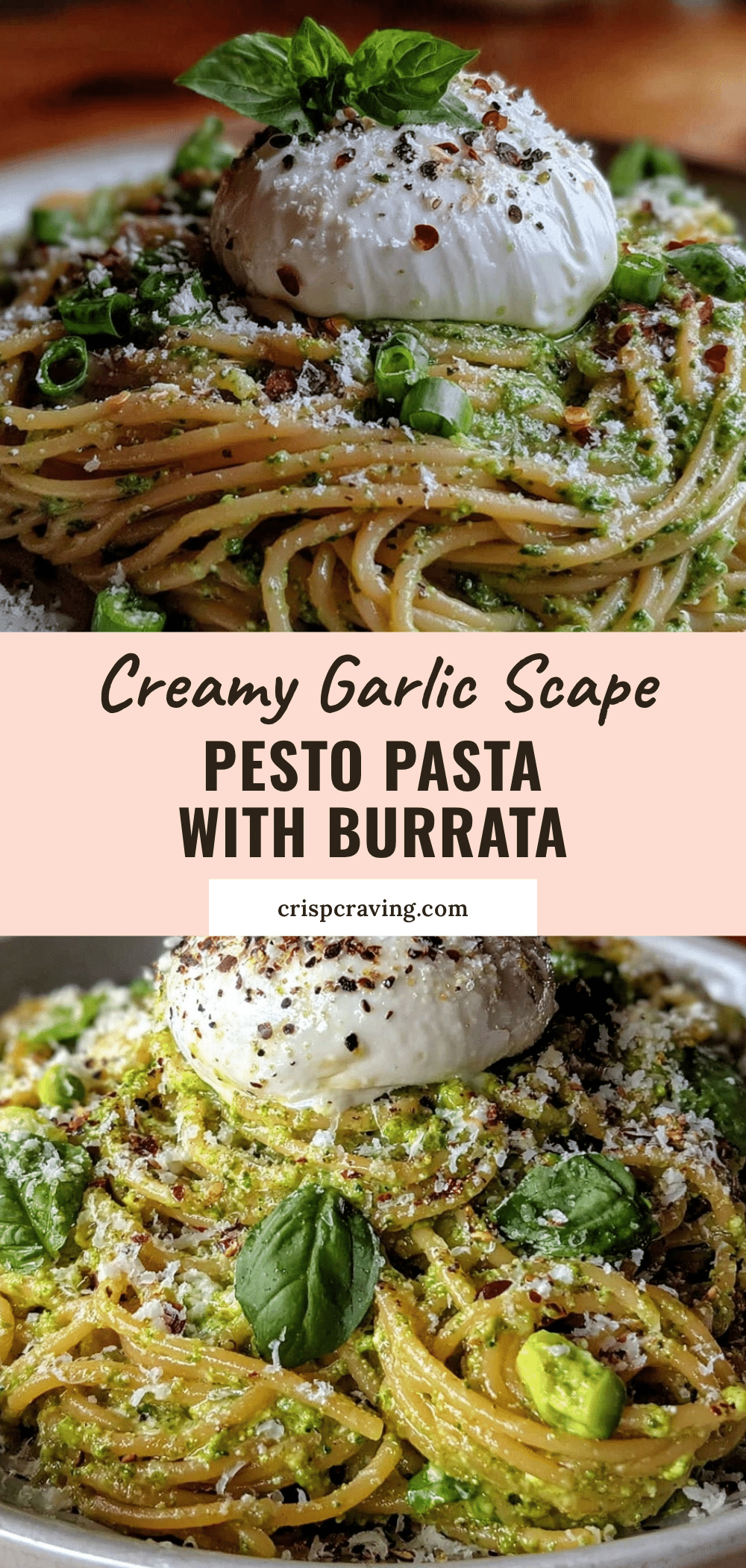 creamy garlic scape pesto pasta recipe