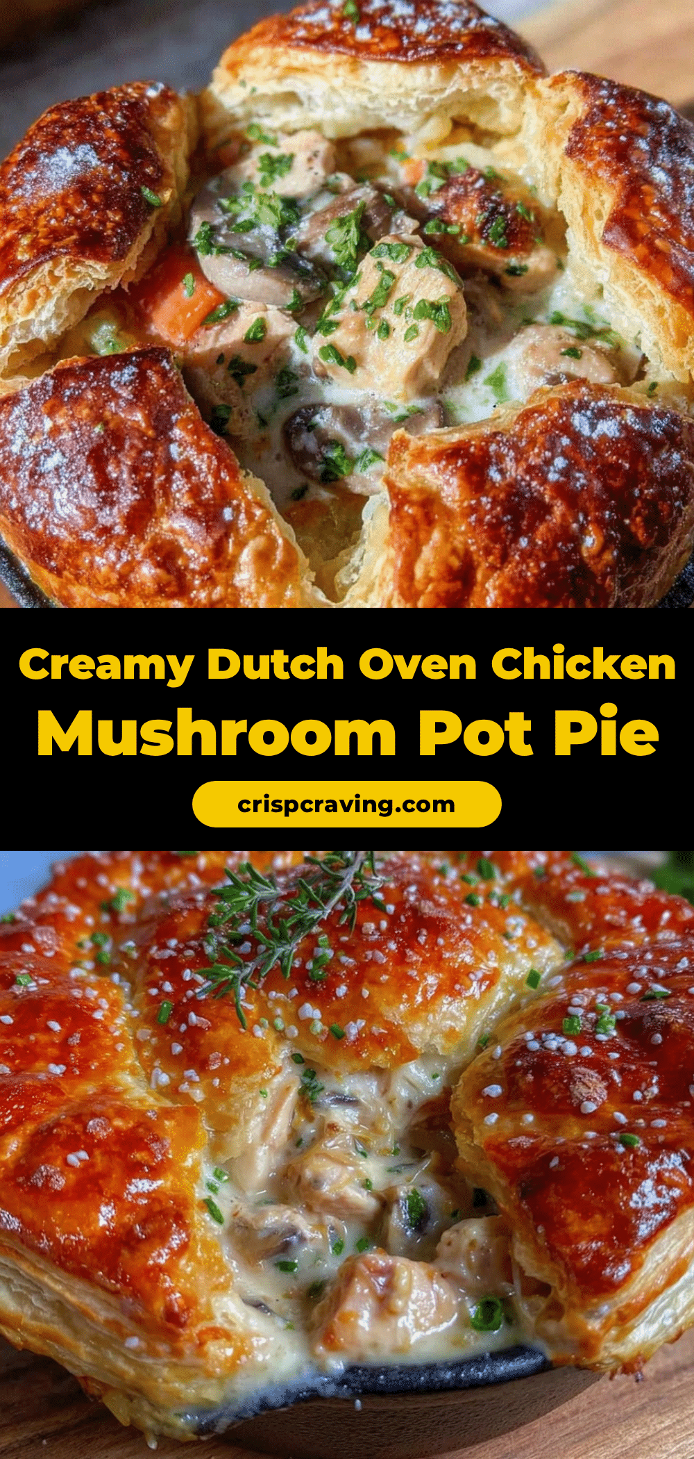 creamy dutch oven chicken mushroom pot pie recipe