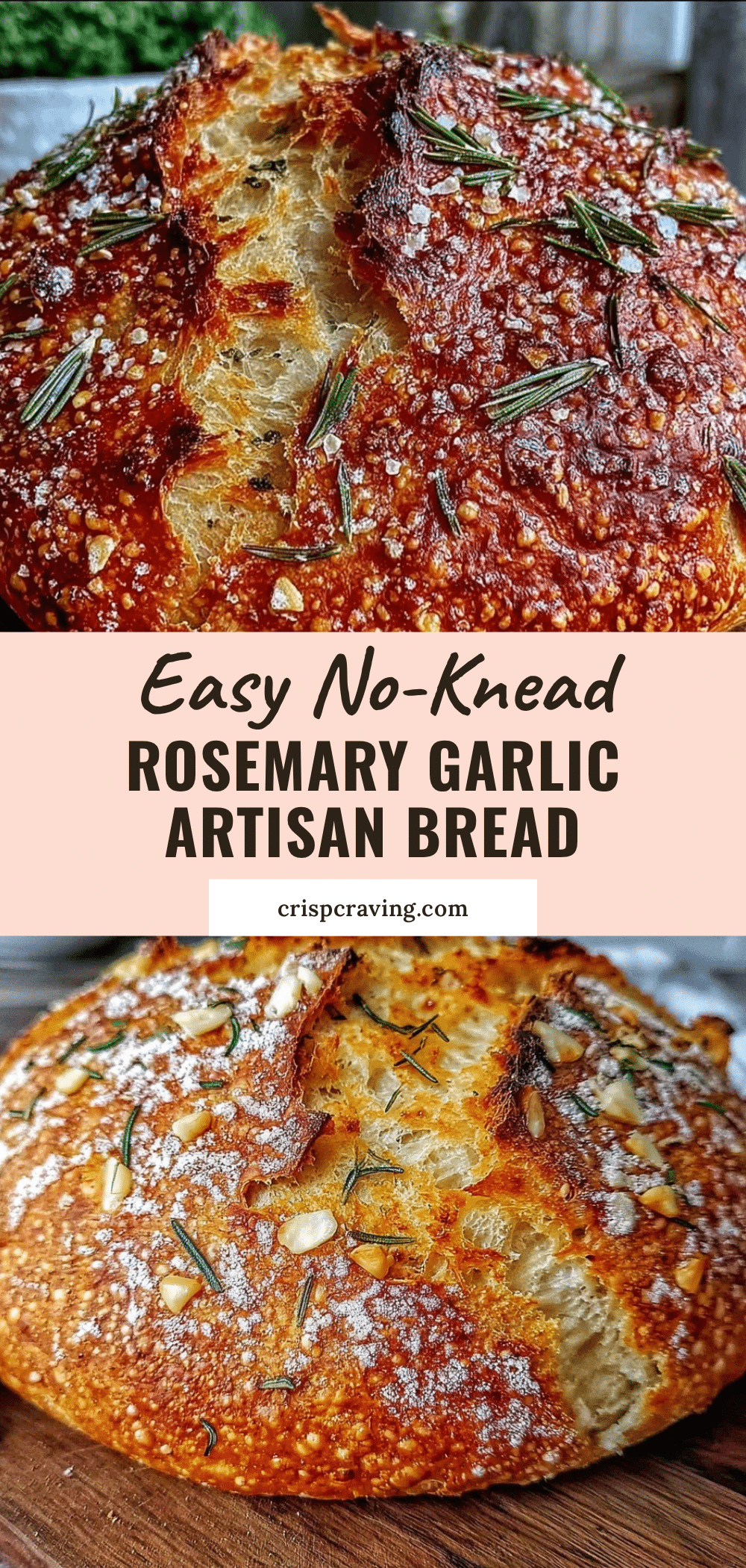no-knead rosemary garlic artisan bread recipe