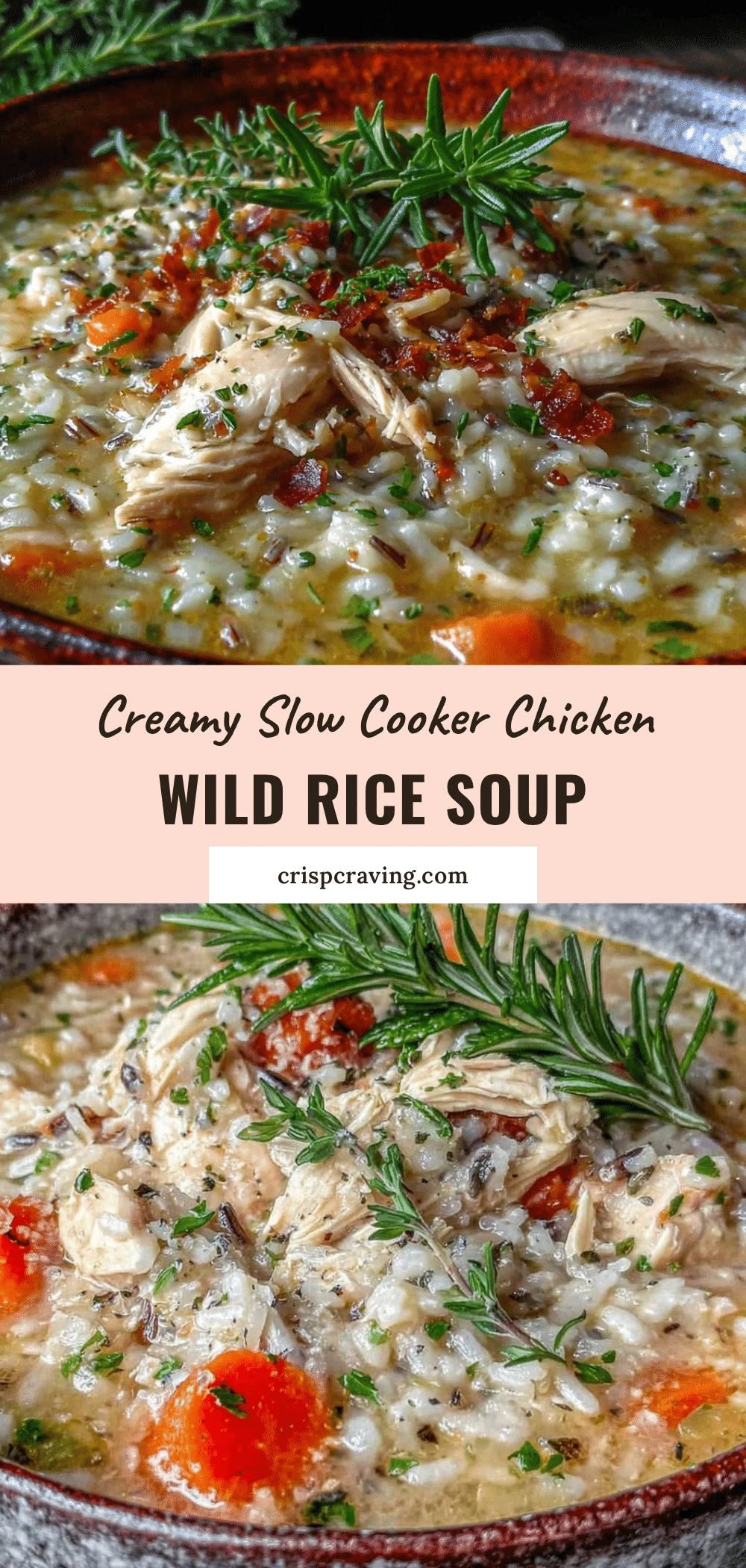 slow cooker chicken wild rice soup recipe