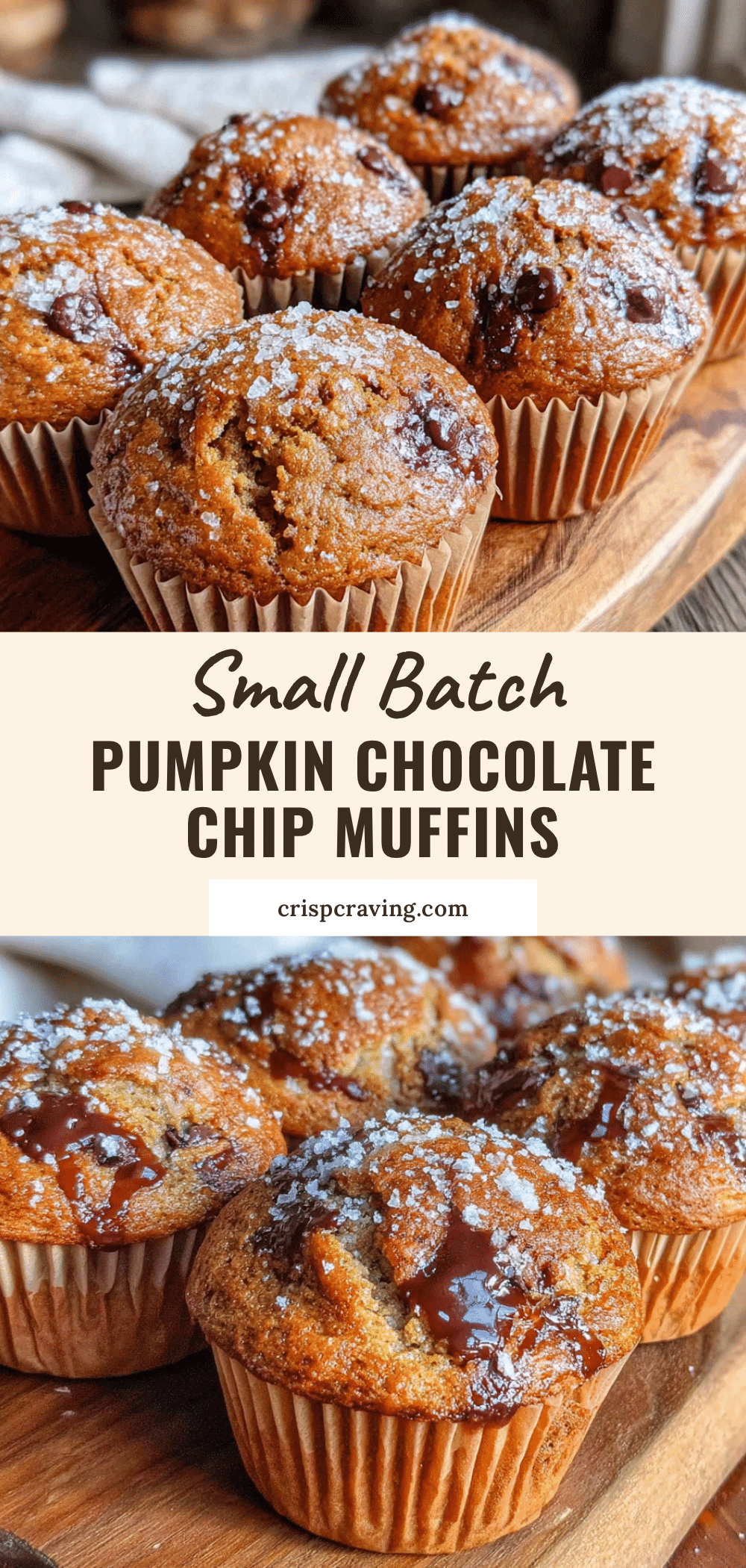 cozy small-batch pumpkin chocolate chip muffins recipe