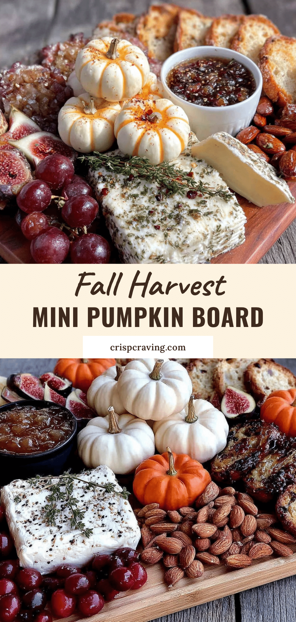 fall harvest charcuterie board with mini pumpkins recipe