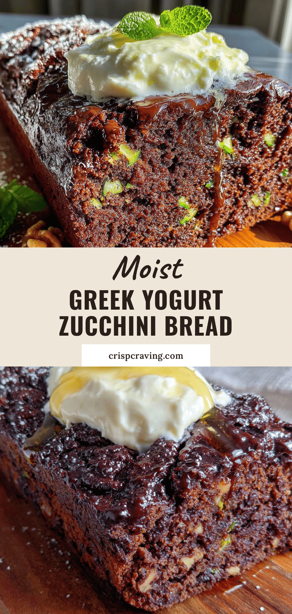 moist chocolate zucchini bread recipe