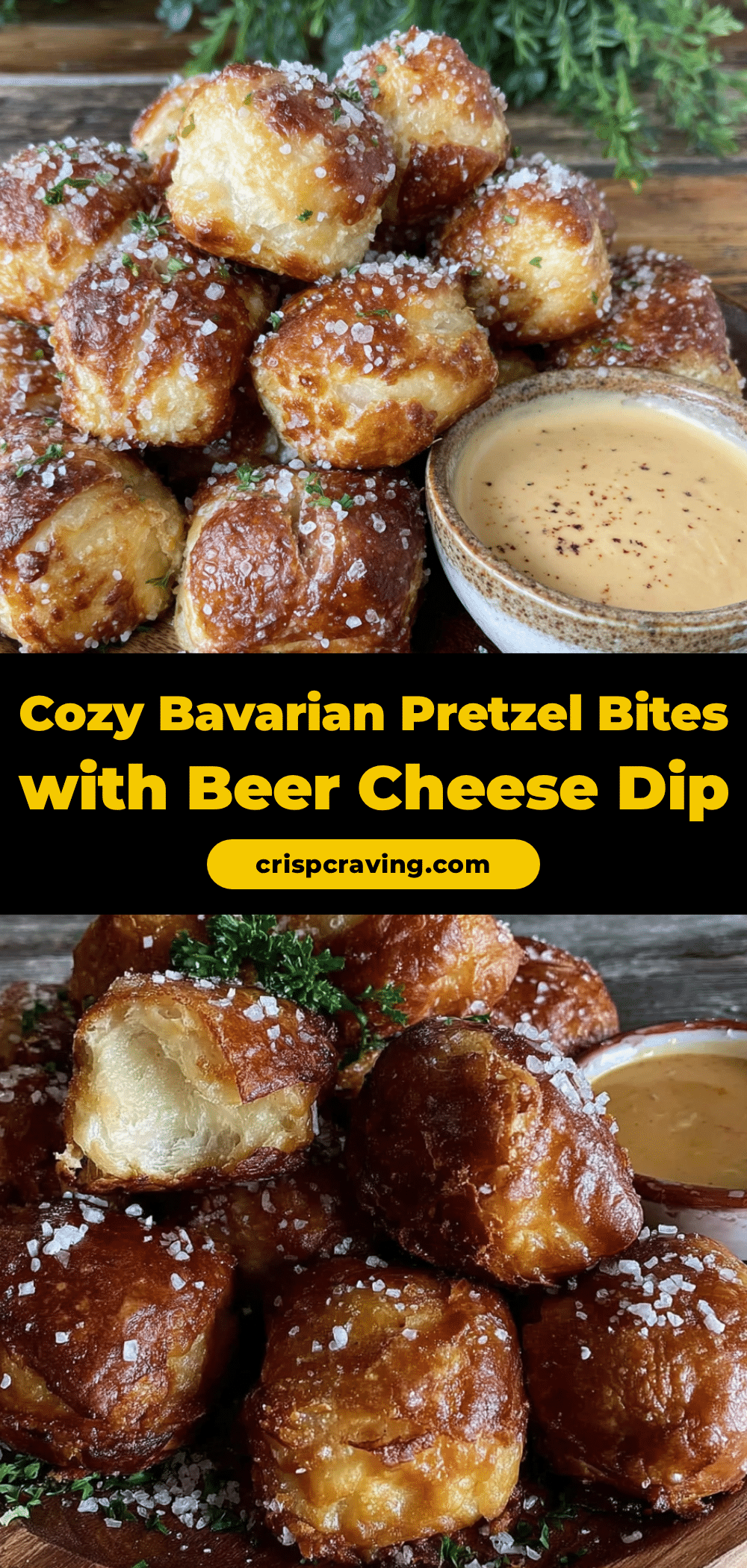 Bavarian Pretzel Bites with Beer Cheese Dip recipe