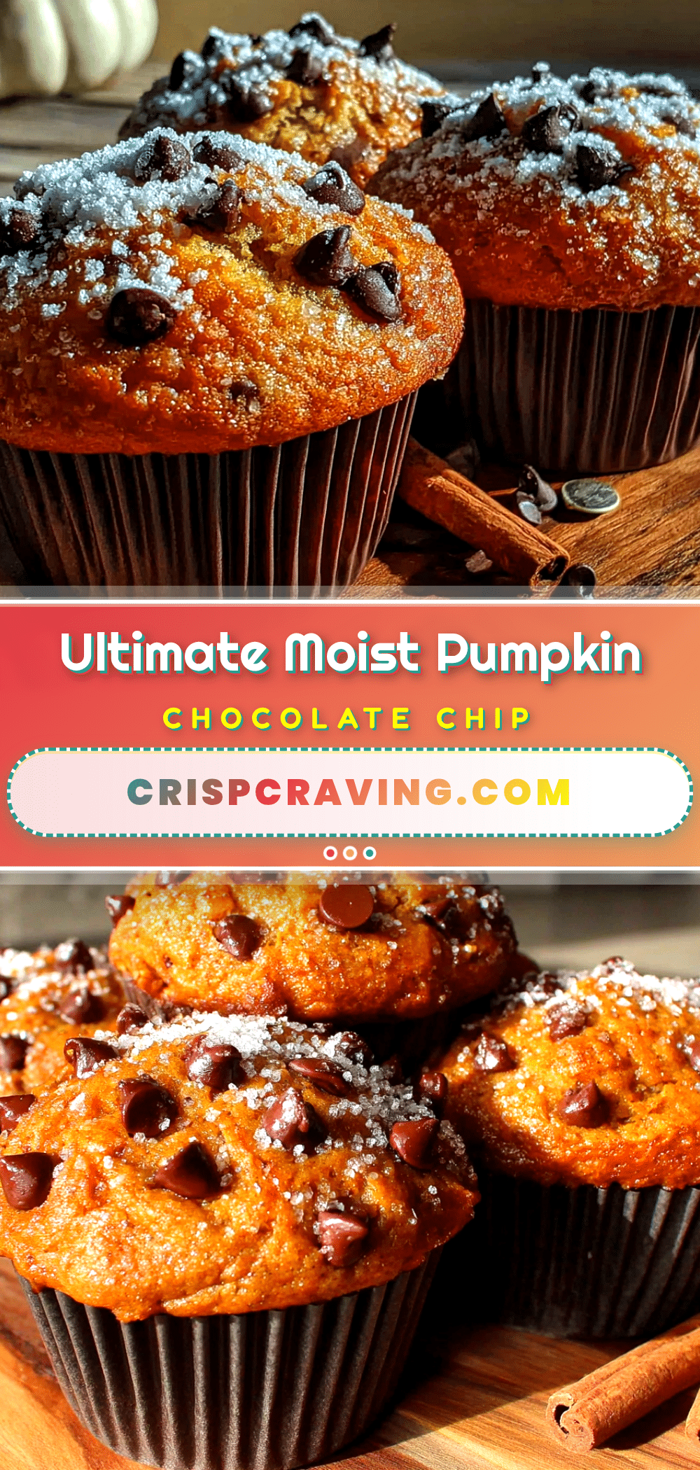 best moist pumpkin chocolate chip muffins recipe recipe