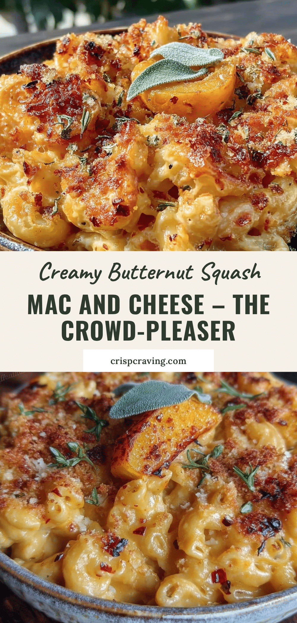 creamy butternut squash mac and cheese recipe