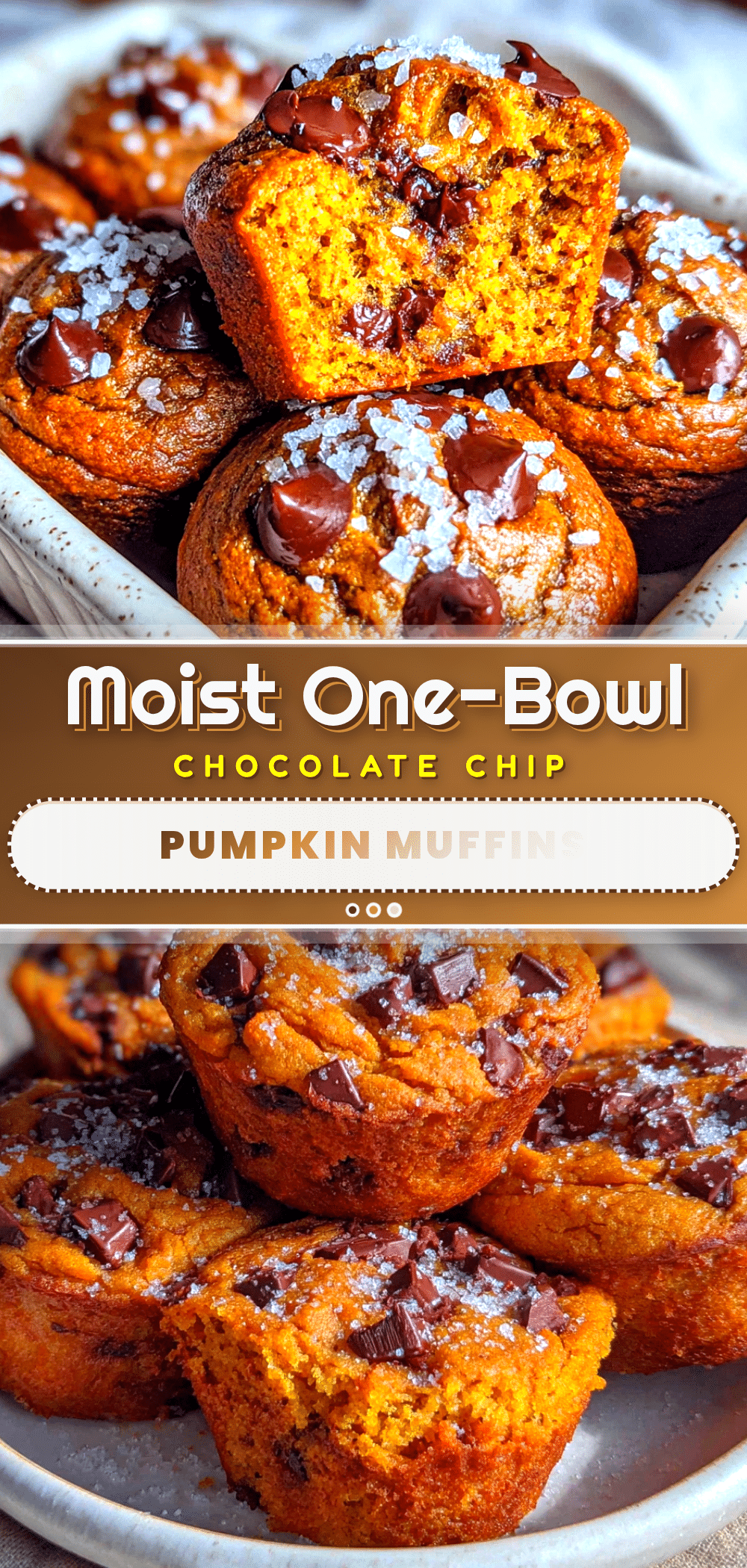 moist one-bowl chocolate chip pumpkin muffins recipe