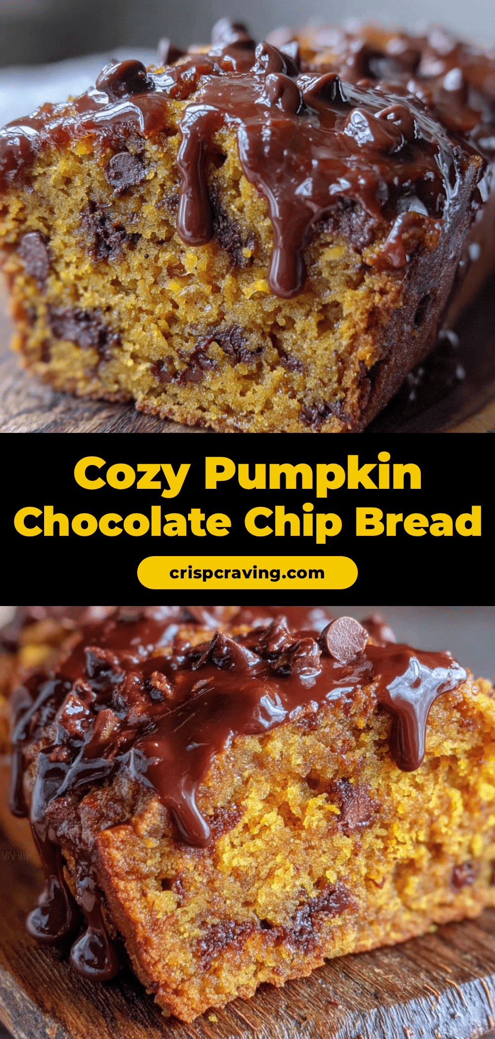 pumpkin chocolate chip bread recipe