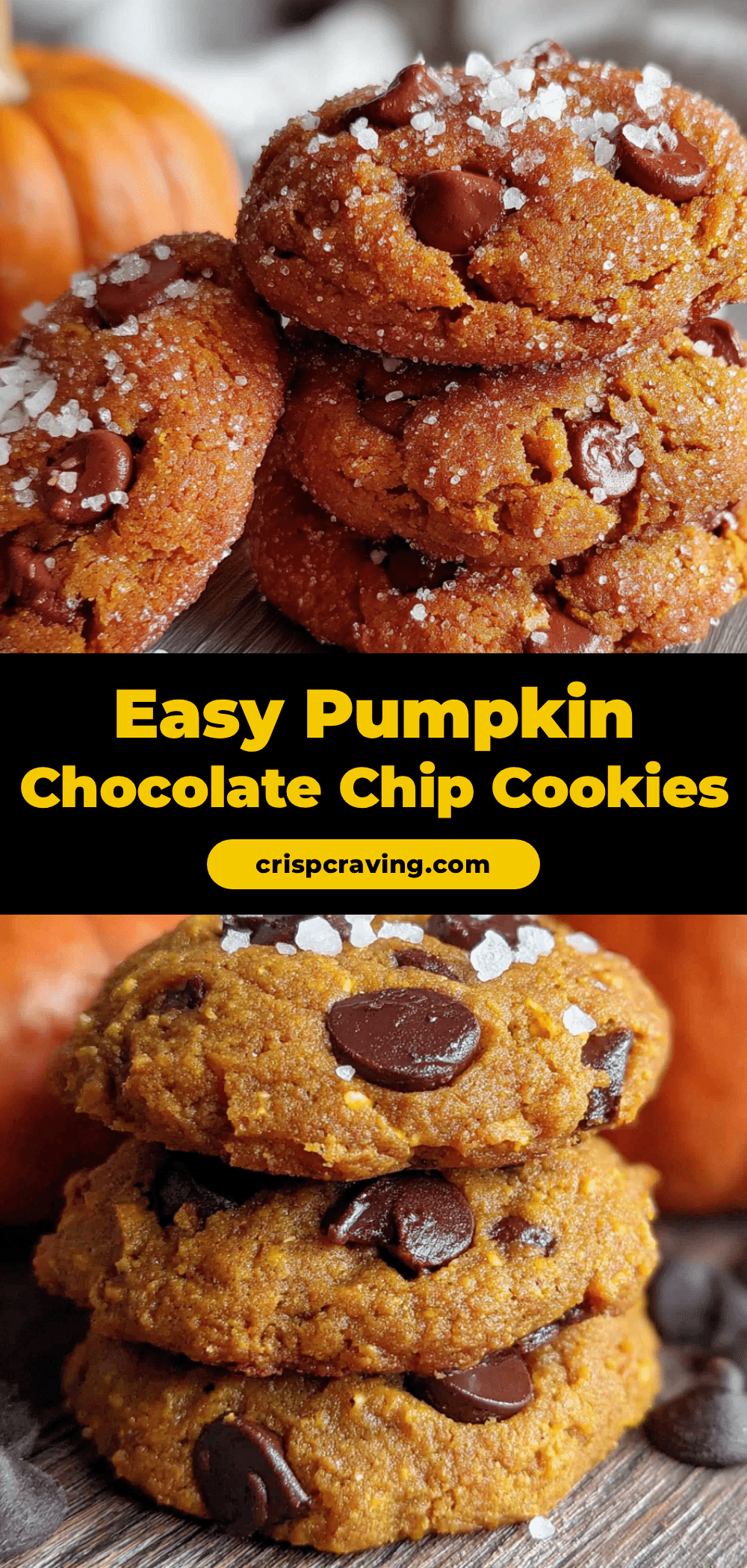 pumpkin chocolate chip cookies recipe
