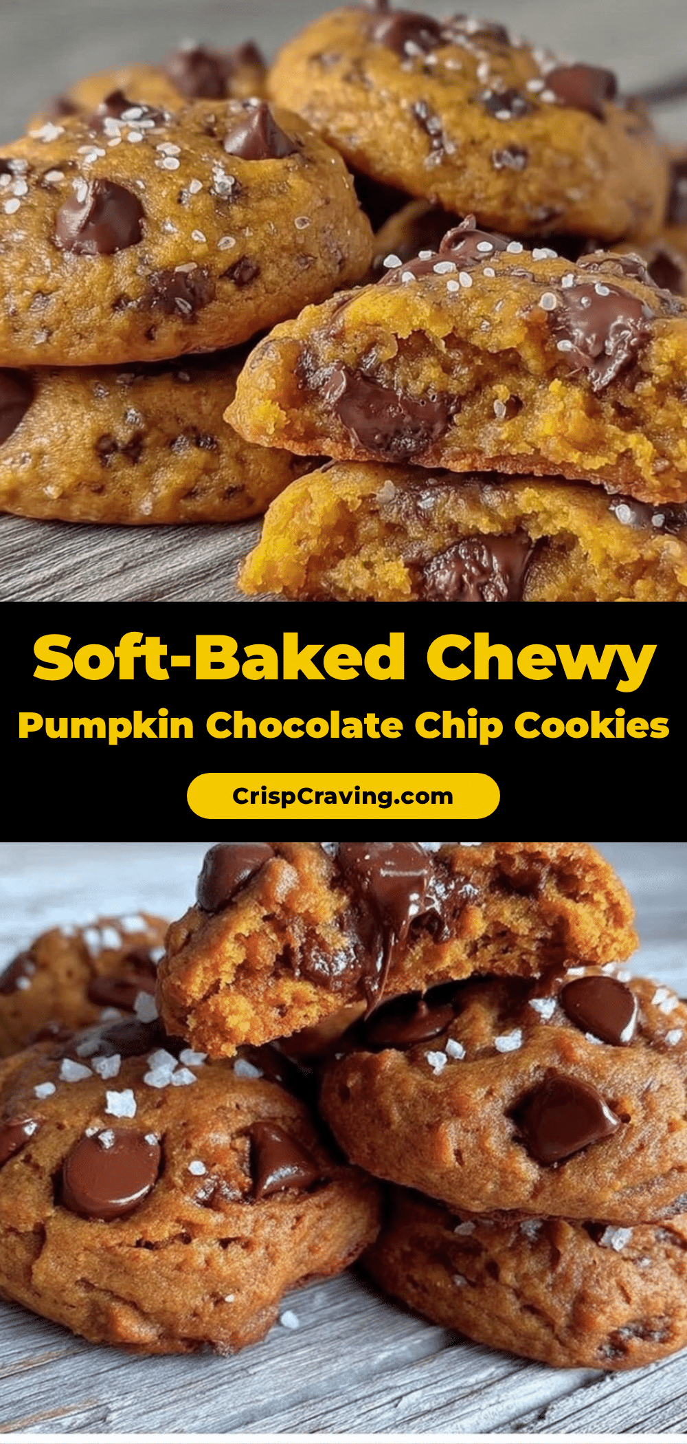 soft-baked chewy pumpkin chocolate chip cookies recipe