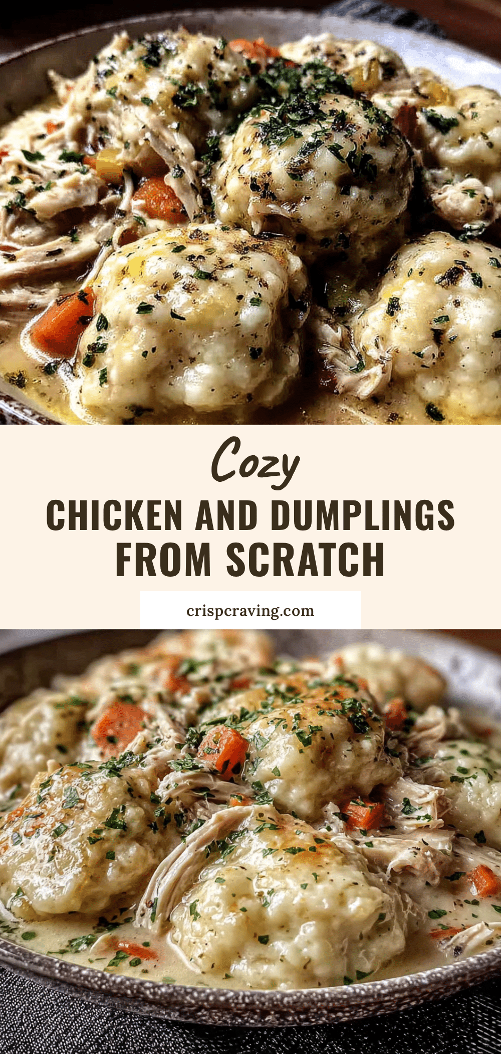 chicken and dumplings from scratch recipe