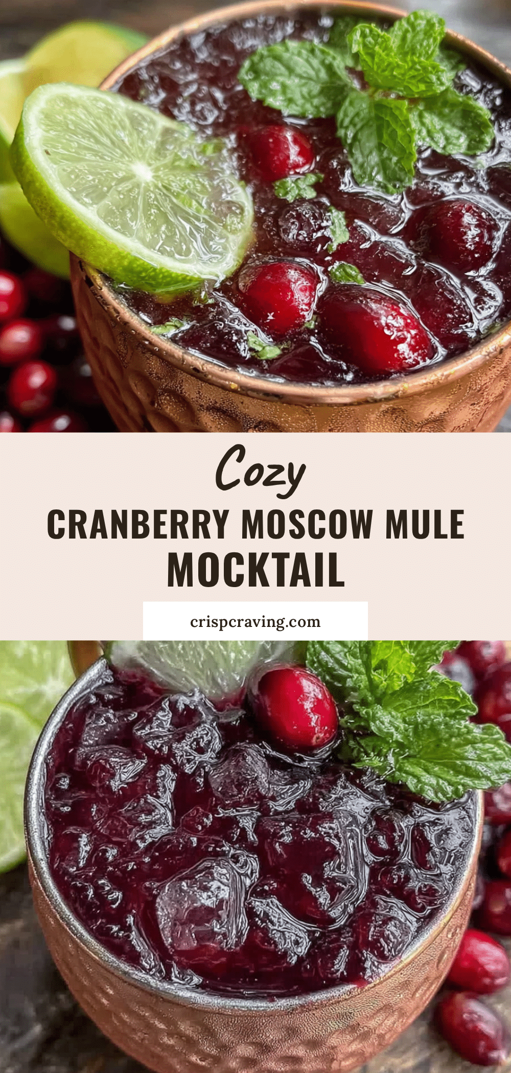 cranberry moscow mule mocktail recipe